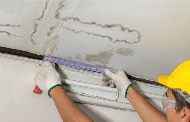 Reliable Mold Remediation contractor in Hill Afb, UT by Water Damage Irwin